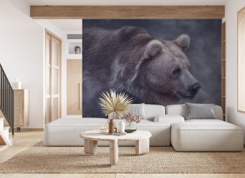 fototapeta z niedźwiedziem