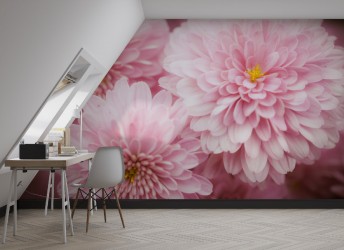 tapeta na ścianę kwiaty